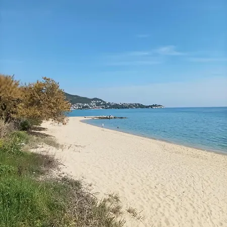 Calypso Seaside Apartament